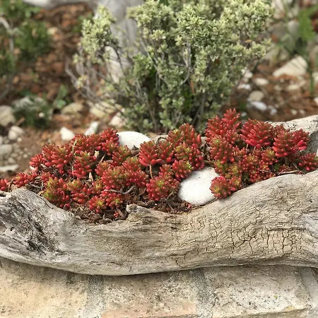 住宿加早餐酒店 Il Casale Del Nonno