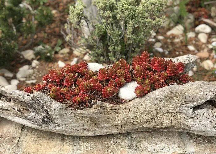 Bed & Breakfast Il Casale Del Nonno